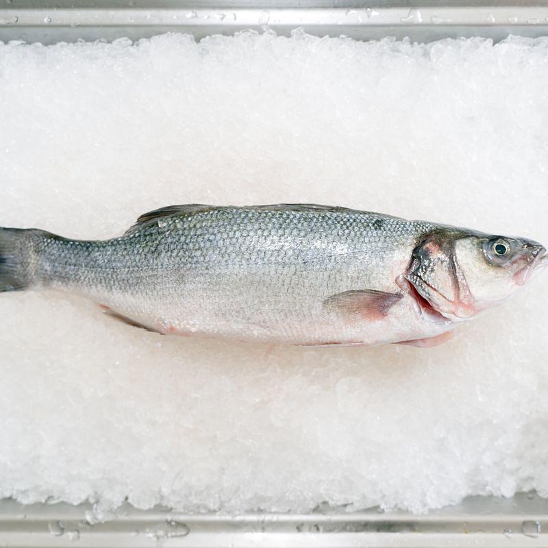 Hilsa Fish (Ilish), whole, frozen