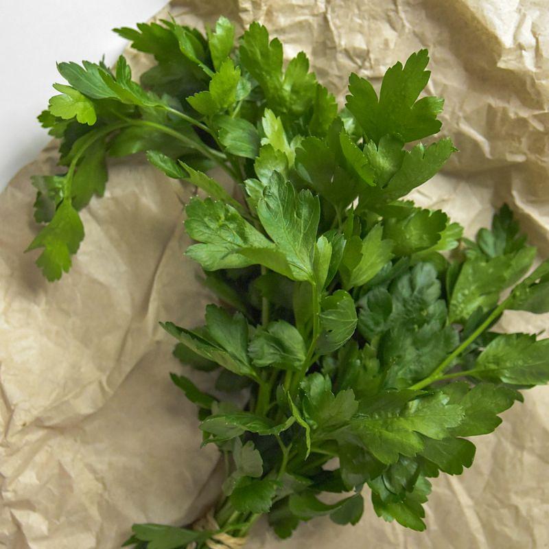 Coriander, bunch