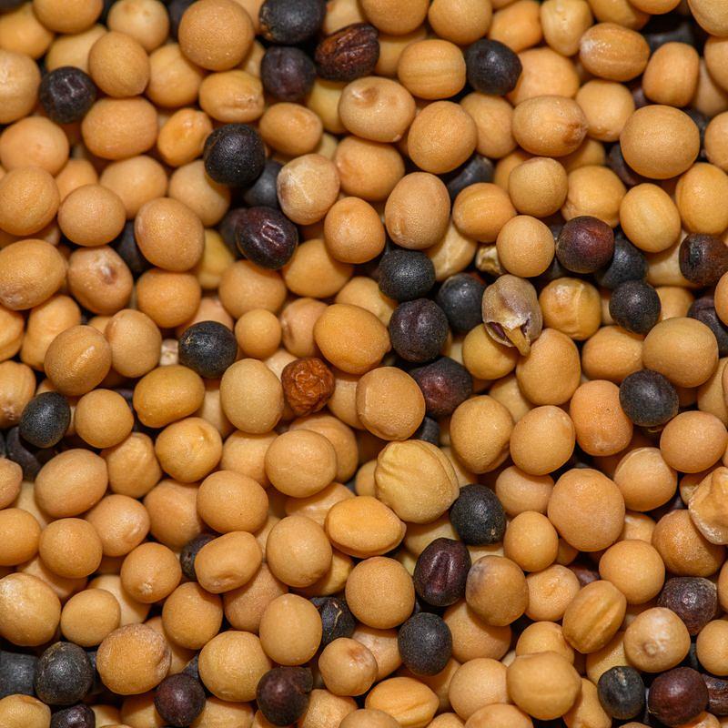 Mustard Seeds (Shorisha) 200 g